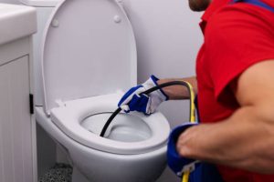 Clogged toilet services